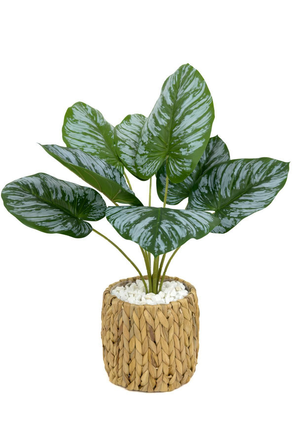 Yapay Salon Bitkisi Bitkisi 60 Cm