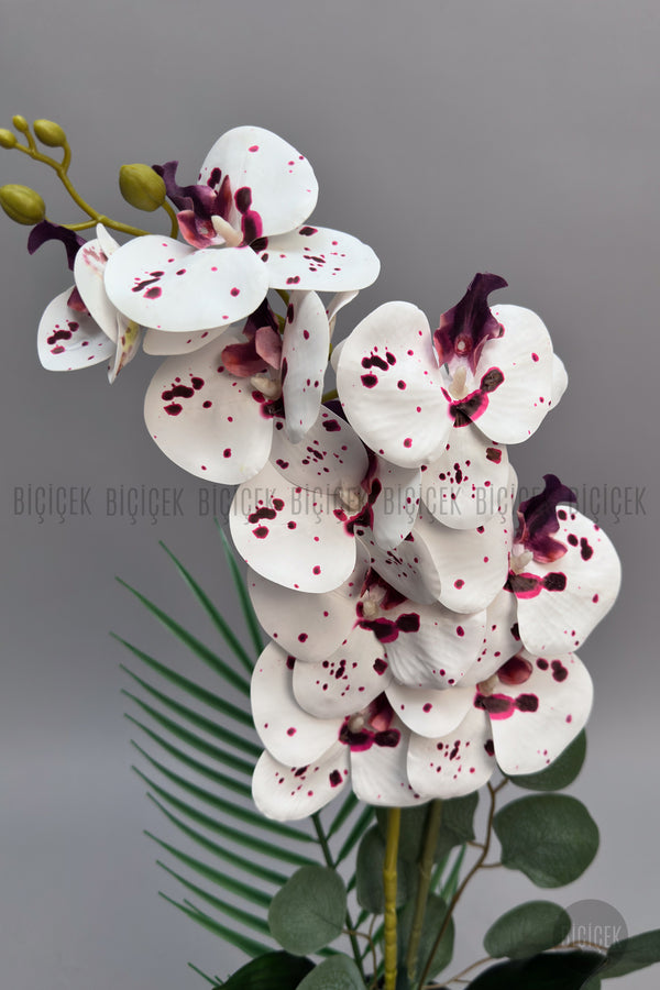 Yapay Phalaenopsis Beyaz Benekli Orkide 60 Cm