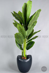 Yapay Muz Ağaci 210 Cm 4 Gövdeli̇ 21 Yaprak Antresi̇t Lale Saksıda
