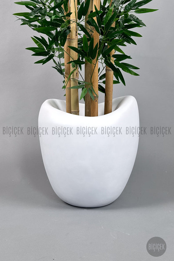 Zen Bambu Ağacı 240 Cm Bone Saksıda