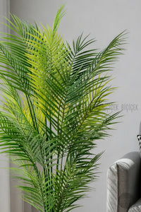 Areka Ağaci 24 Yapraklı 130 Cm Antresi̇t Küre Saksıda