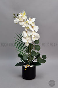 Yapay Phalaenopsis Beyaz Orkide 60 Cm