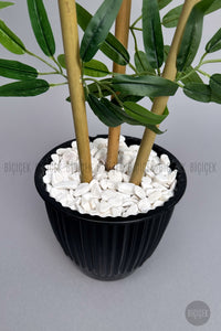 Bambu Ağaci 110 Cm 3 Gövdeli