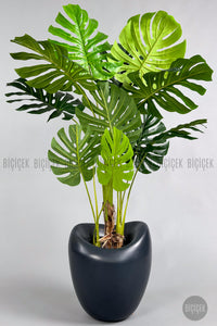 Yapay Monstera Ağacı Deve Tabani 170 Cm Antresi̇t Lale Saksıda