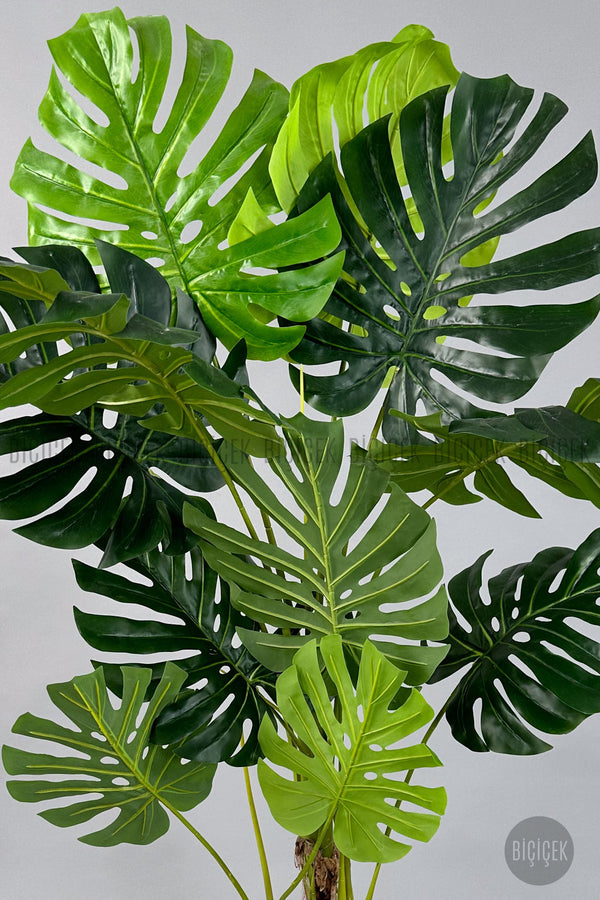 Yapay Monstera Ağacı Deve Tabani 160 Cm Vega Saksıda