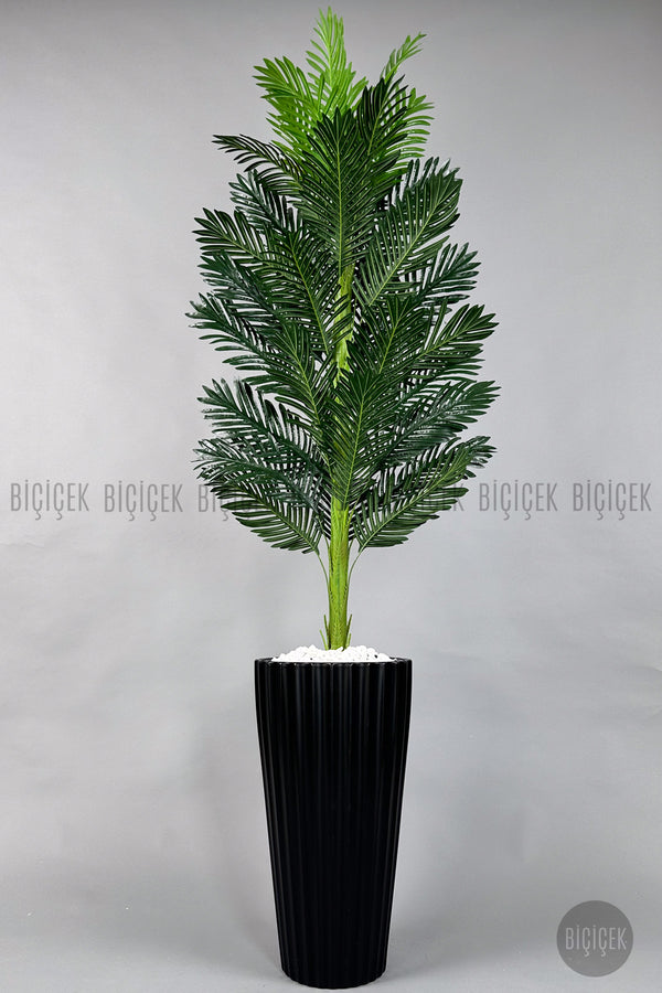 Yapay Areka Ağaci 220 Cm Si̇yah Li̇lyum Saksıda
