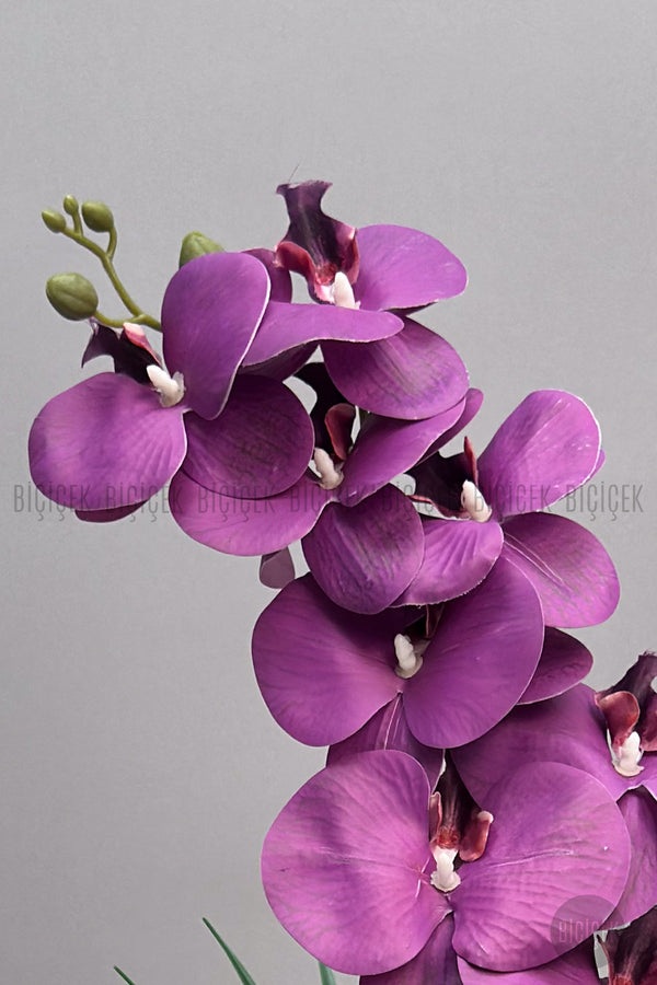 Yapay Phalaenopsis Mor Orkide 60 Cm