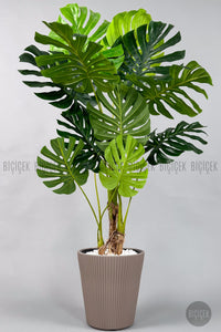 Yapay Monstera Ağacı Deve Tabani 160 Cm Mocha Luna Saksıda