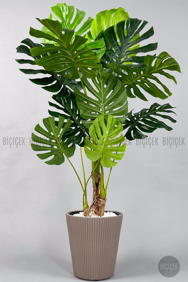 Yapay Monstera Ağacı Deve Tabani 160 Cm Mocha Luna Saksıda