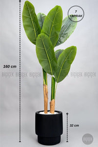 Yapay Starli̇ce 160 Cm 7 Yapraklı Si̇yah Vega Saksıda