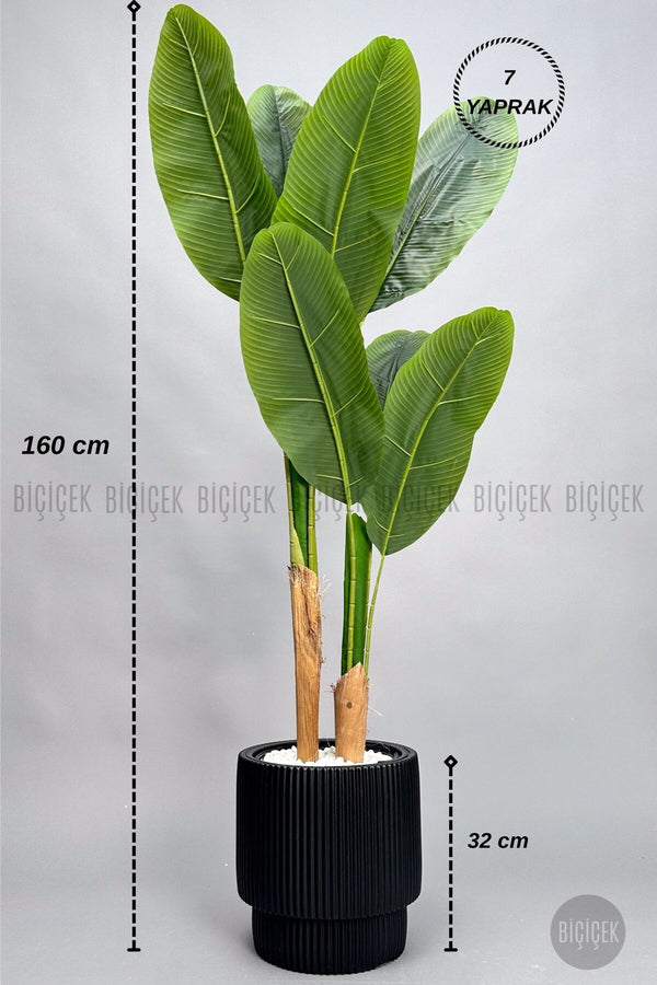 Yapay Starli̇ce 160 Cm 7 Yapraklı Si̇yah Vega Saksıda