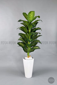 Yapay Difenbahya Ağacı 220 Cm Lilyum Saksıda