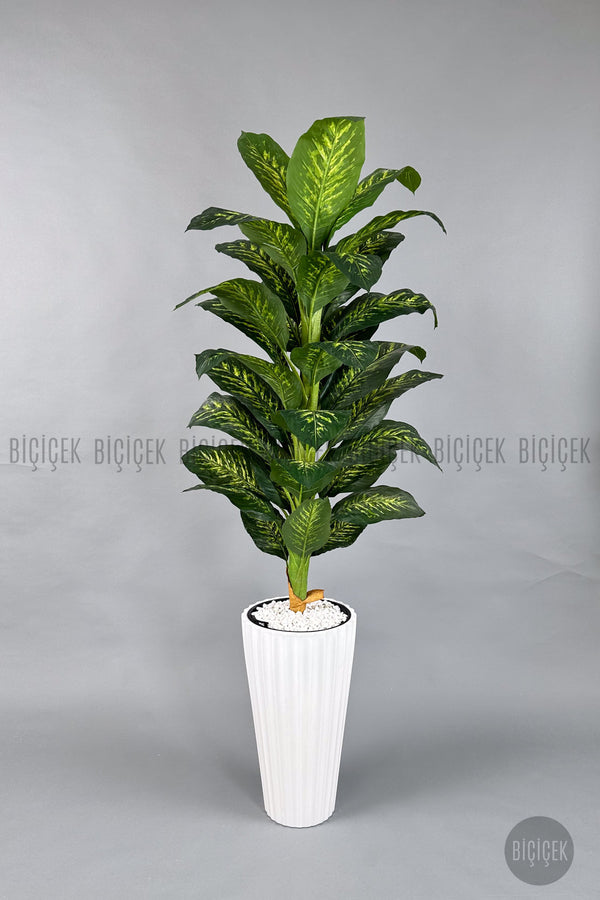 Yapay Difenbahya Ağacı 220 Cm Lilyum Saksıda