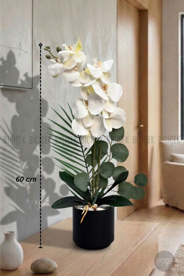 Yapay Phalaenopsis Beyaz Orkide 60 Cm