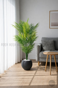 Areka Ağaci 24 Yapraklı 130 Cm Antresi̇t Küre Saksıda