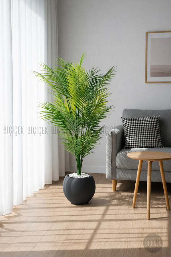 Areka Ağaci 24 Yapraklı 130 Cm Antresi̇t Küre Saksıda