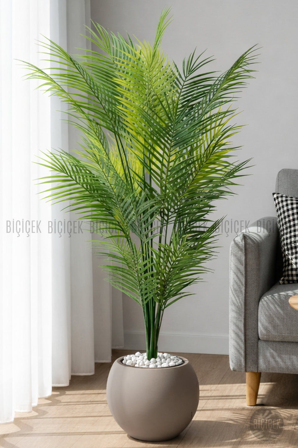 Areka Ağaci 24 Yapraklı 130 Cm Mocha Küre Saksıda