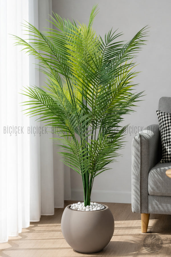 Areka Ağaci 24 Yapraklı 130 Cm Mocha Küre Saksıda
