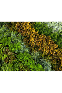Dikey Bahçe Duvar Paneli 120x80cm Model27