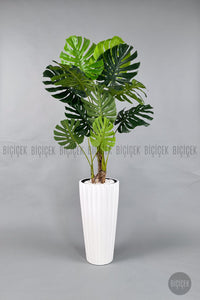 Yapay Monstera Ağacı Deve Tabani 200 Cm Beyaz Lilyum Saksıda