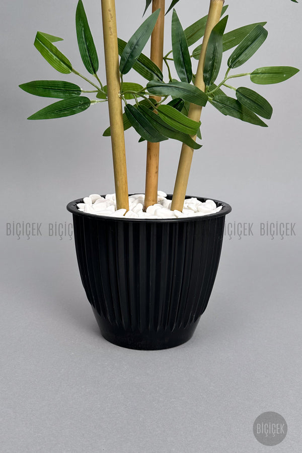 Bambu Ağaci 110 Cm 3 Gövdeli