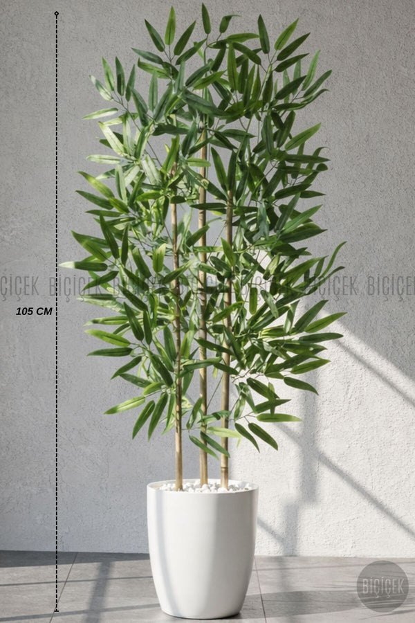 110 Cm Bambu Ağacı Yakut Saksıda - Bej