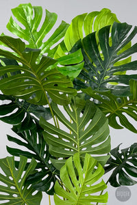 Yapay Monstera Ağacı Deve Tabani 160 Cm Si̇yah Luna Saksıda