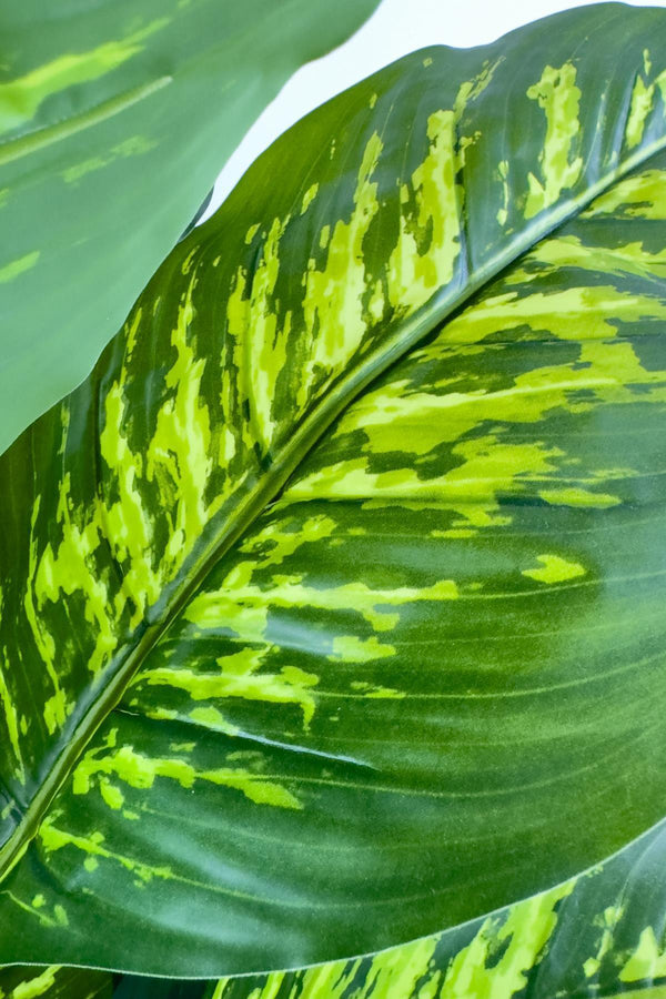 Yapay Monstera Ve Difenbahya Ağacı Bohem Saksıda