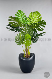 Yapay Monstera Ağacı Deve Tabani 170 Cm Antresi̇t Lale Saksıda