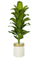 Yapay Difenbahya 170 Cm Metal Saksıda - Krem Gold