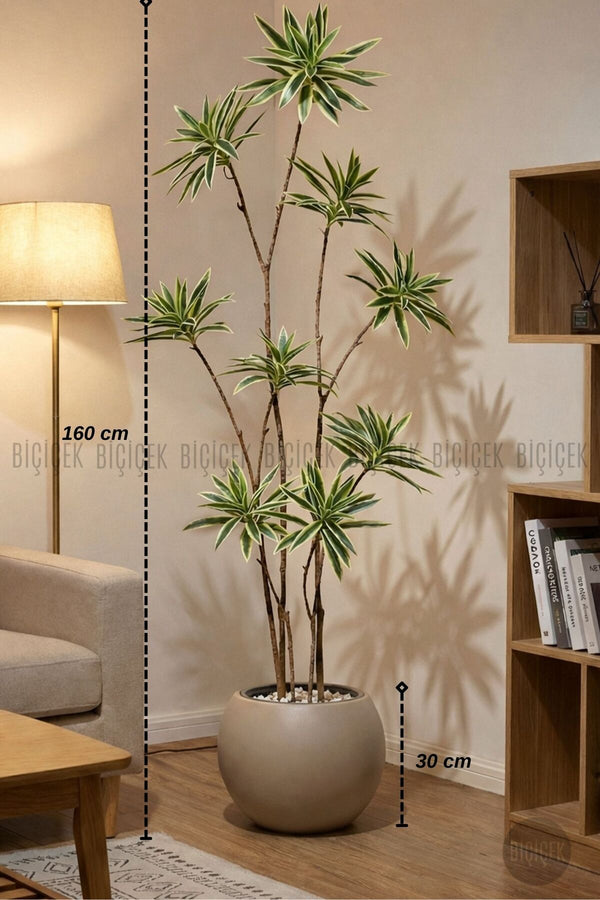 Yapay Dragon Bi̇tki̇si̇ 160 Cm Antresi̇t Mocha Saksıda Alaca Yaprak