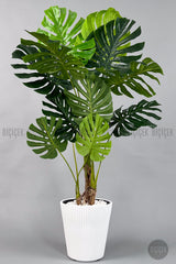 Yapay Monstera Ağacı Deve Tabani 160 Cm Luna Saksıda - Beyaz