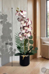 Yapay Phalaenopsis Mor Benekli Orkide 60 Cm