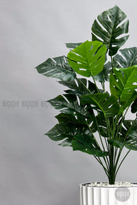 Yapay Monstera Deve Tabani Bitkisi 130 Cm Beyaz Lilyum Saksıda