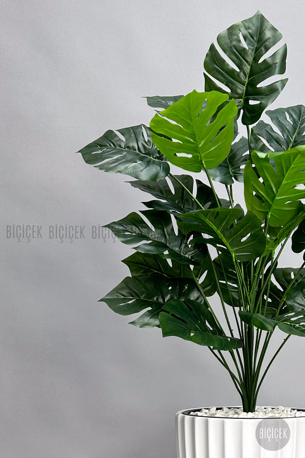 Yapay Monstera Deve Tabani Bitkisi 130 Cm Beyaz Lilyum Saksıda
