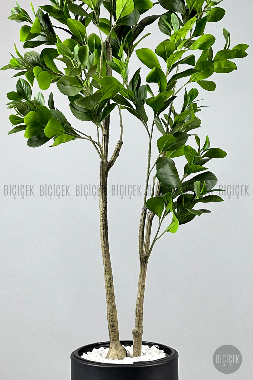 Yapay Manolya Ağacı 150 Cm Siyah Metal Saksıda