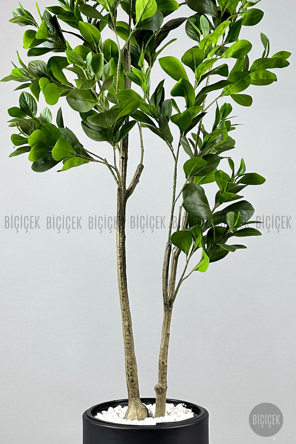 Yapay Manolya Ağacı 150 Cm Siyah Metal Saksıda