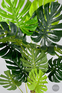 Yapay Monstera Ağacı Deve Tabani 200 Cm Siyah Lilyum Saksıda