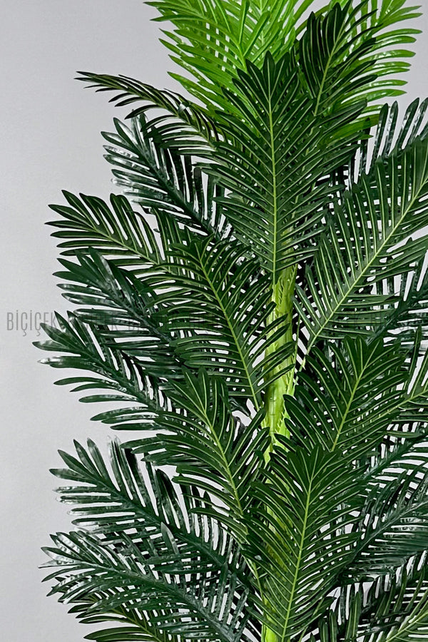 Yapay Areka Ağaci 220 Cm Si̇yah Li̇lyum Saksıda