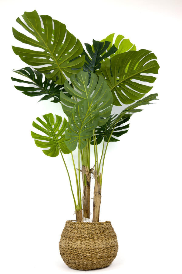 Yapay Monstera Ağacı Deve Tabani 150 Cm Geoit Hasir Saksıda