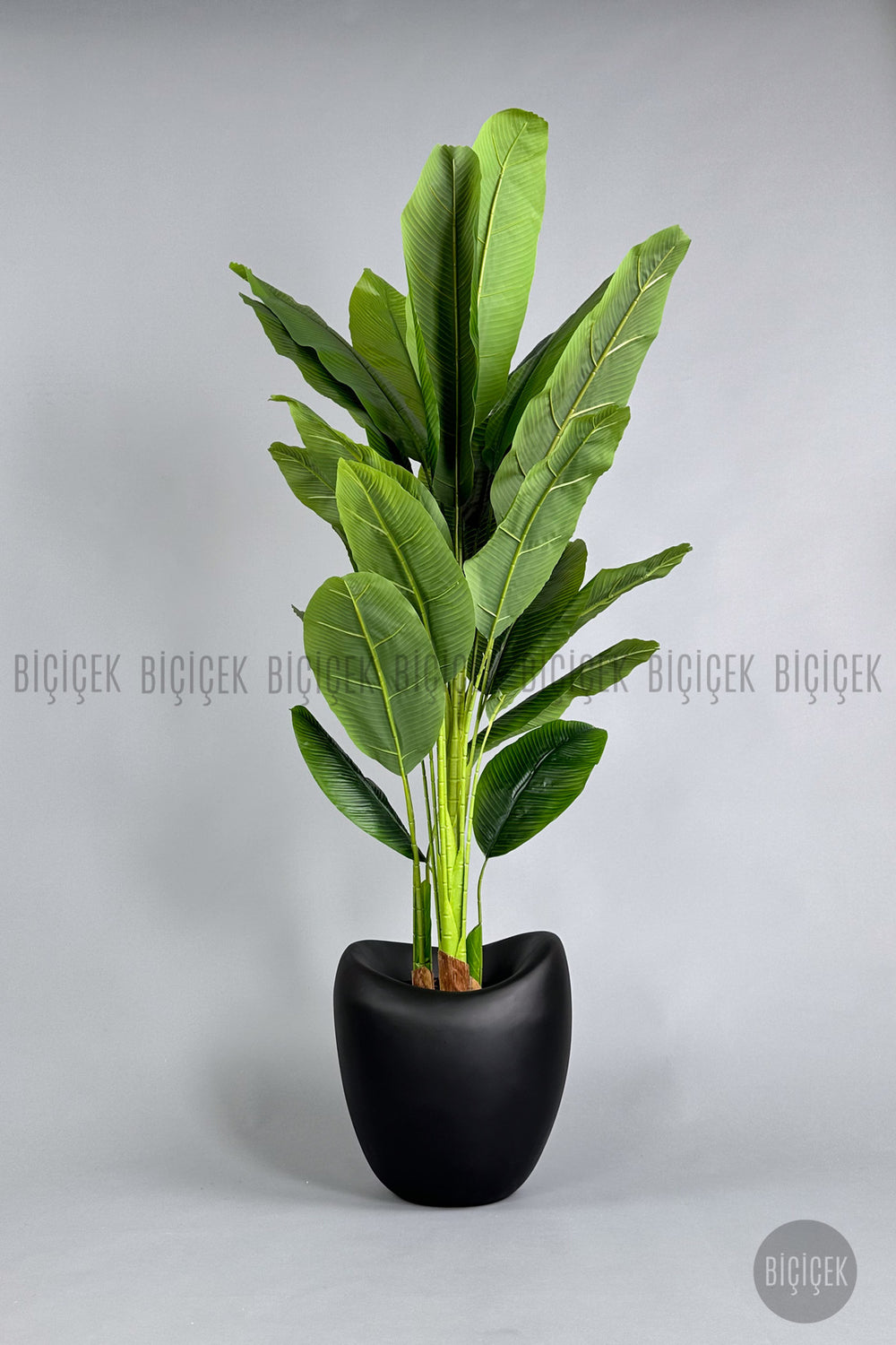 Yapay Muz Ağaci 210 Cm 4 Gövdeli̇ 21 Yaprak Mocha Lale Saksıda