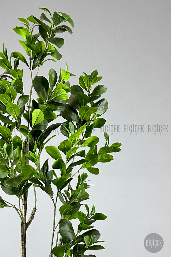Yapay Manolya Ağacı 150 Cm Siyah Metal Saksıda