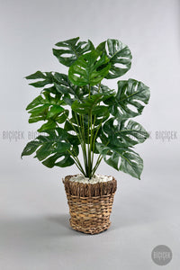 Yapay Monstera Deve Tabani 65 Cm Demir Destekli Kulpsuz Hasir Saksıda