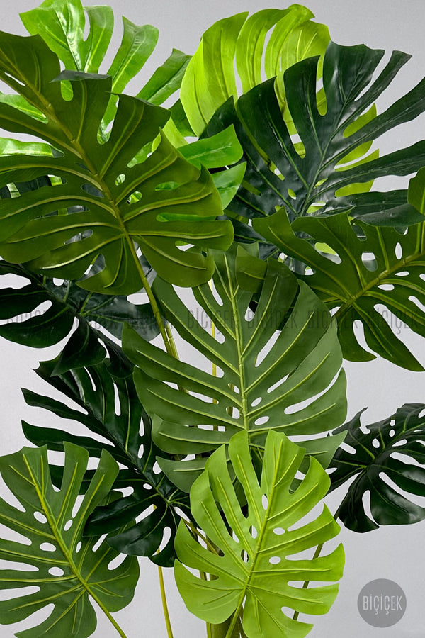 Yapay Monstera Ağacı Deve Tabani 160 Cm Mocha Luna Saksıda