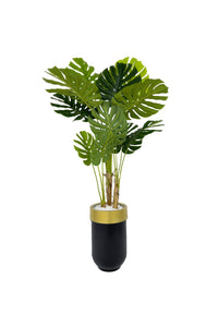 Yapay Monstera Ağacı Deve Tabani 170 Cm Darbuka Saksıda
