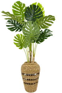 Yapay Monstera Ağacı Deve Tabani 180 Cm İskandinav Saksıda