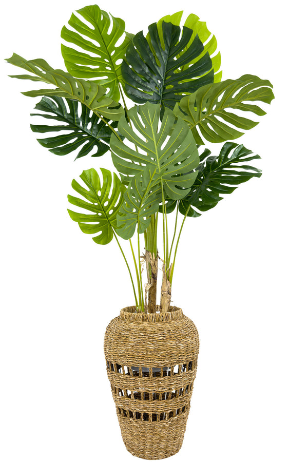 Yapay Monstera Ağacı Deve Tabani 180 Cm İskandinav Saksıda