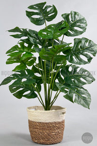 Yapay Monstera Deve Tabani 65 Cm Hasir Saksıda