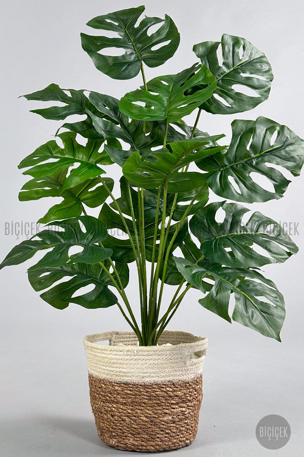 Yapay Monstera Deve Tabani 65 Cm Hasir Saksıda