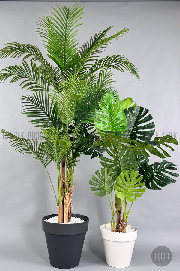 Yapay Areka Palmiyesi Ve Monstera Ağacı Yali Saksıda